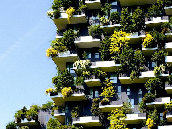 Accelerating Net Zero